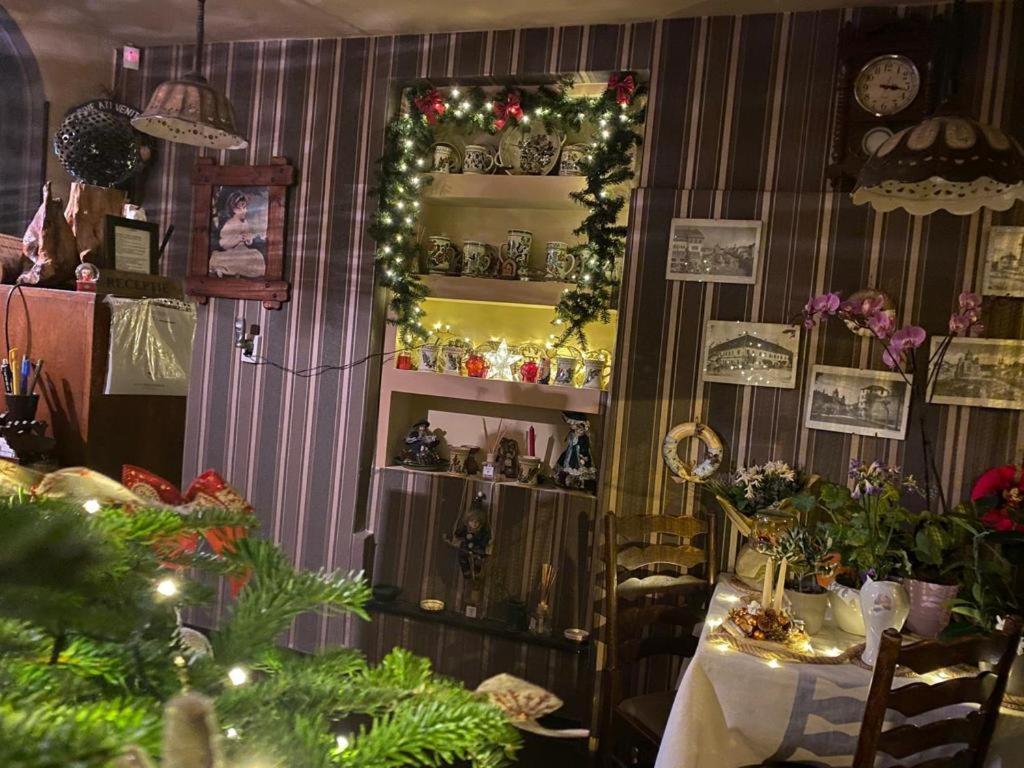 Vila Monica Bed & Breakfast Targu Mures Exterior photo