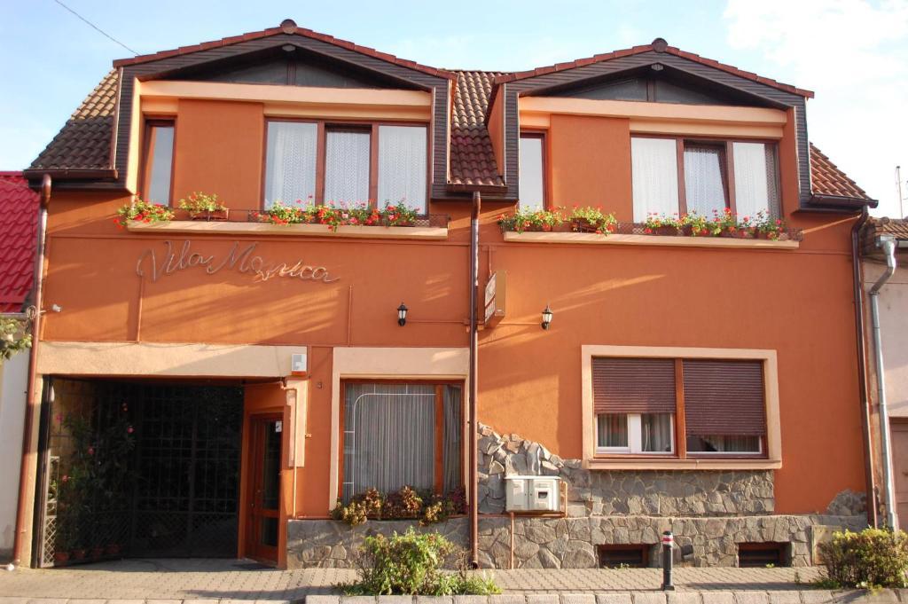 Vila Monica Bed & Breakfast Targu Mures Exterior photo